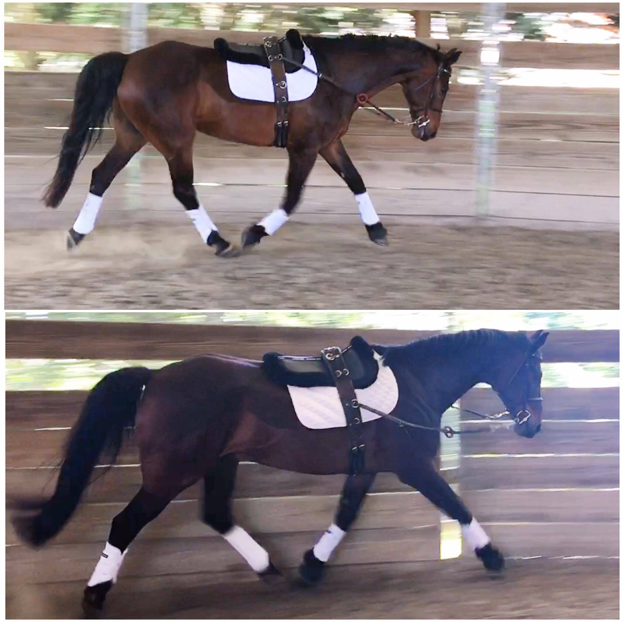 Question 313, and photo 77 Rachel has a quick question about which